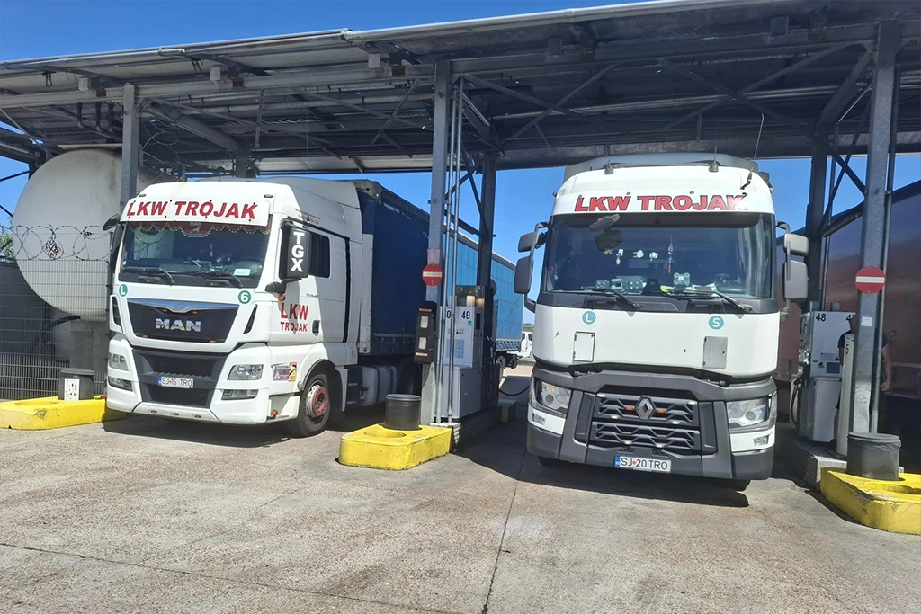 camioanele din flota lkw trojak