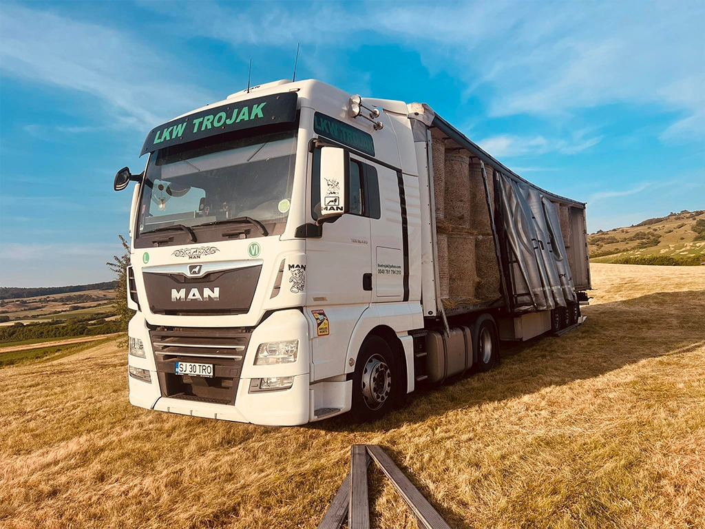 camion Man la descărcare