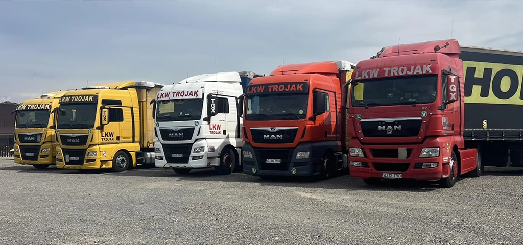 o parte din flota firmei lkw trojak